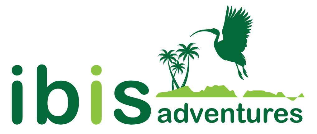 Ibis Logo – Final